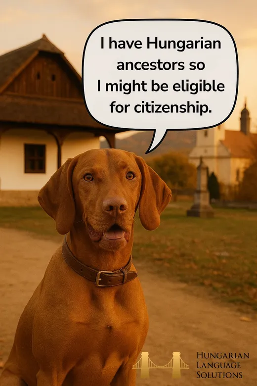 A Hungarian vizsla in a village saying: I have Hungarian ancestors so I might be eligible for citizenship.